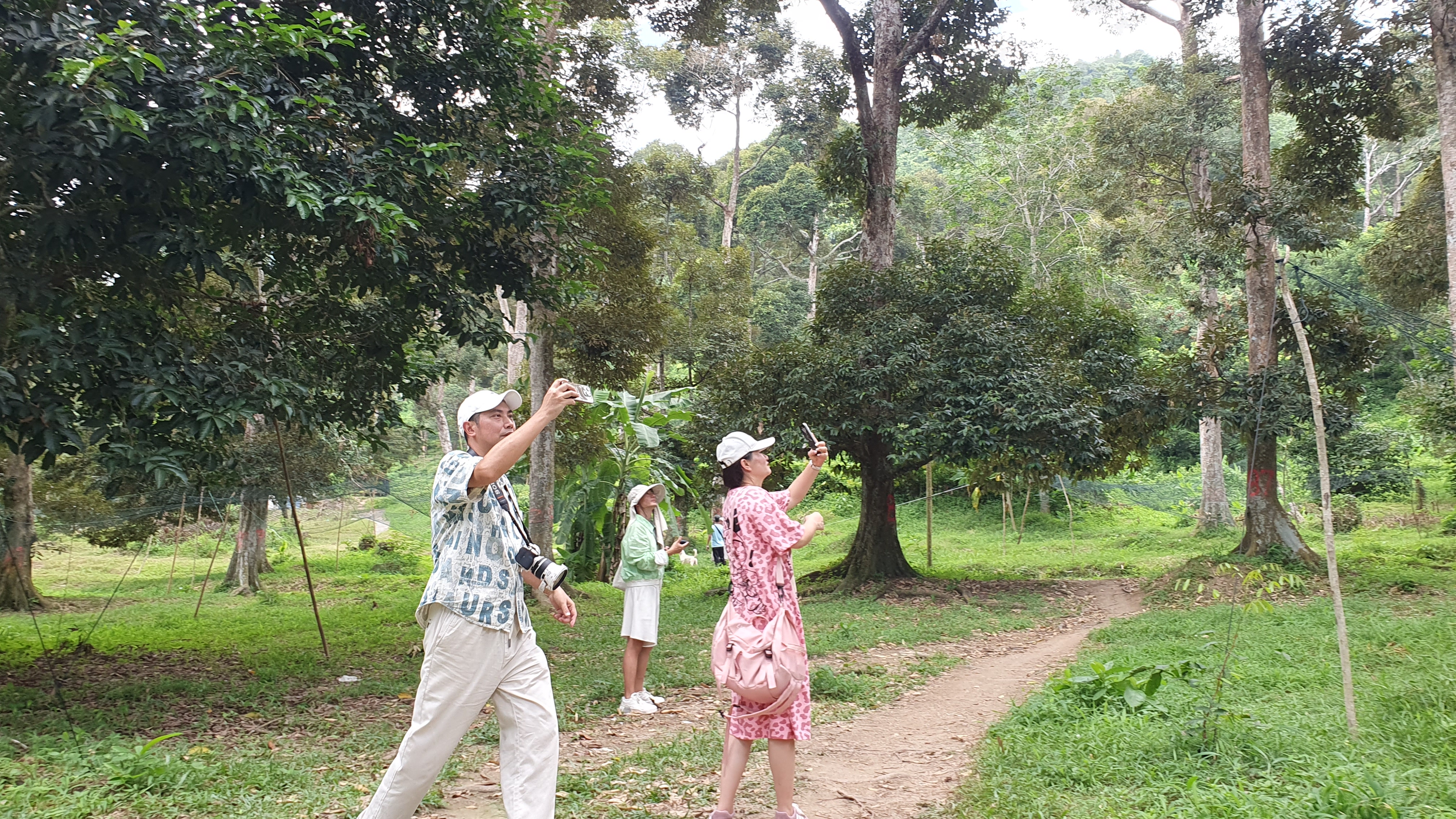 Heritage Durian Farm